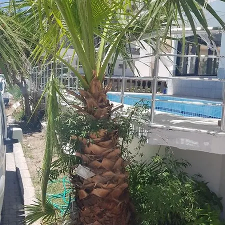 Tuana Otel 호텔 디딤